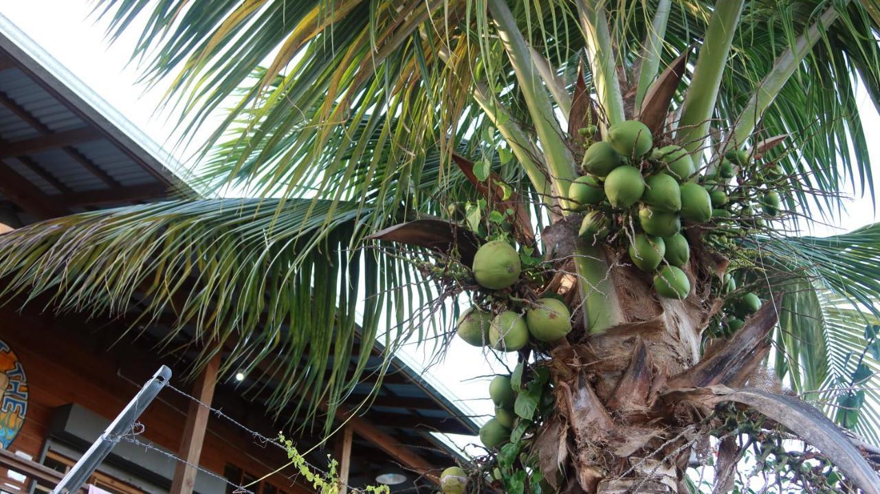 The Bocas Corner Hotel Bocas del Toro Eksteriør billede